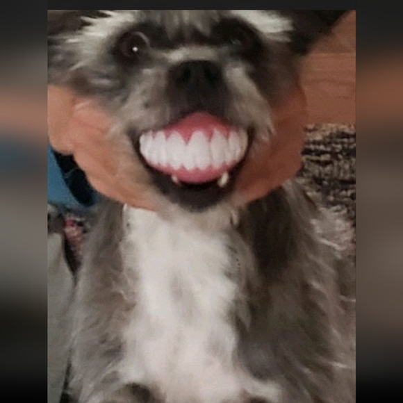 Hello Everyone 🥰💎❤️💖⚘️💍🥂 - Picture 16 of 17